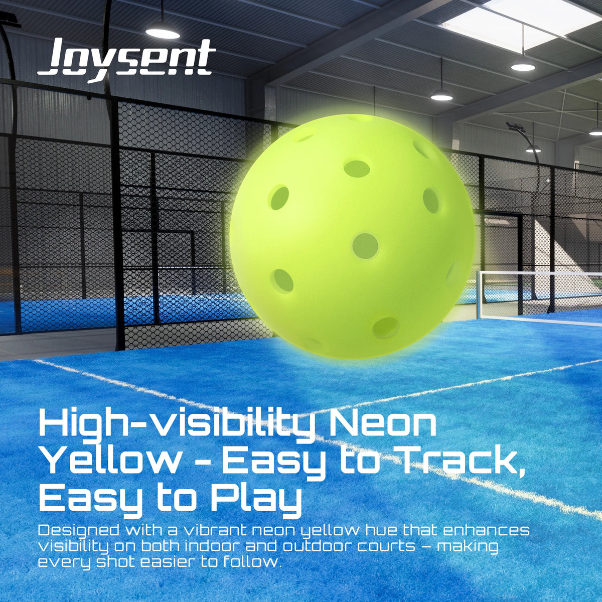 Rotomoulded Outdoor Pickleballs - product photo 5