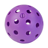 LED Night-Play Pickleball - product photo 11
