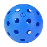 LED Night-Play Pickleball - product photo